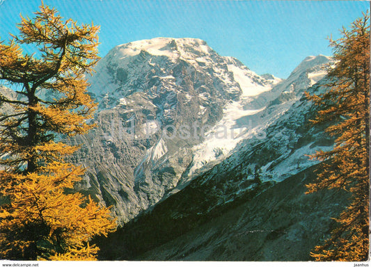 L'Ortles 3905 m visto dalla Strada dello Stelvio - Ortler - 1968 - Italy - Italia - used - JH Postcards