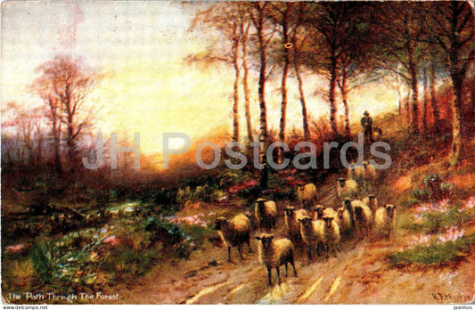 The Path Through The Forest - sheep - animals - Oilette - 9470 - old postcard - United Kingdom - unused - JH Postcards