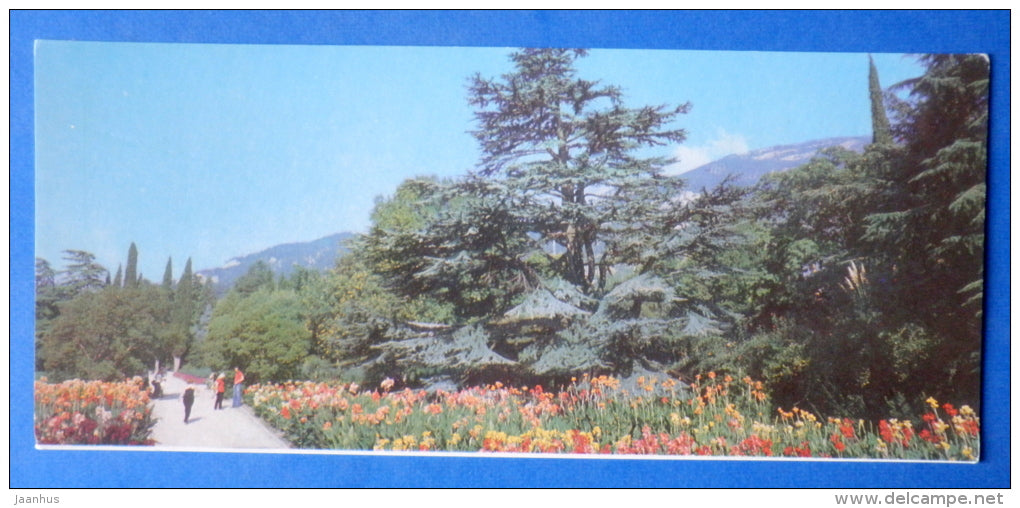 Lebanese cedar - Nikitsky Botanical Garden - 1981 - Ukraine USSR - unused - JH Postcards