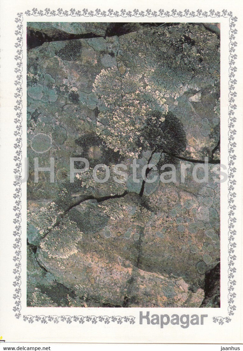 Karadag - rocks - 2 - Crimea - 1989 - Ukraine USSR - unused - JH Postcards