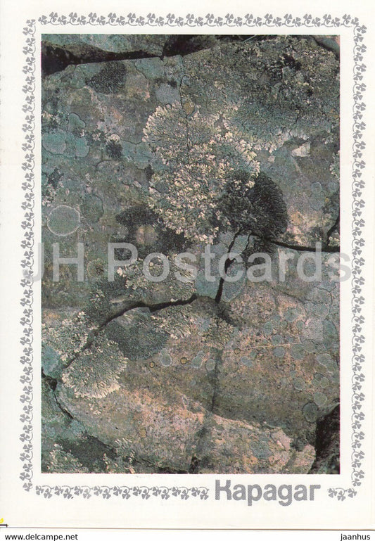 Karadag - rocks - 2 - Crimea - 1989 - Ukraine USSR - unused - JH Postcards