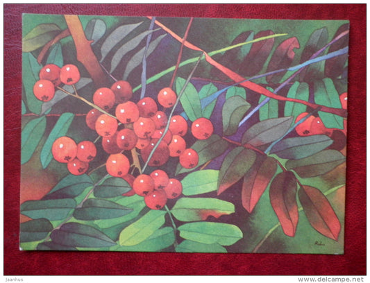 Greeting card - by R. Lukk - rowan berries - 1985 - Estonia USSR - unused - JH Postcards