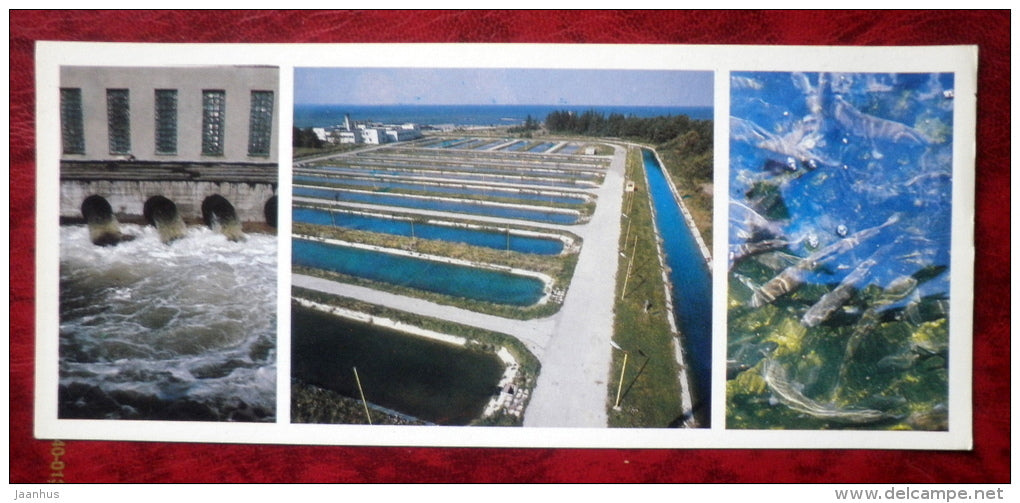 Kirov collective farm - fish farming - 1986 - Estonia - USSR - unused - JH Postcards