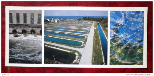 Kirov collective farm - fish farming - 1986 - Estonia - USSR - unused - JH Postcards