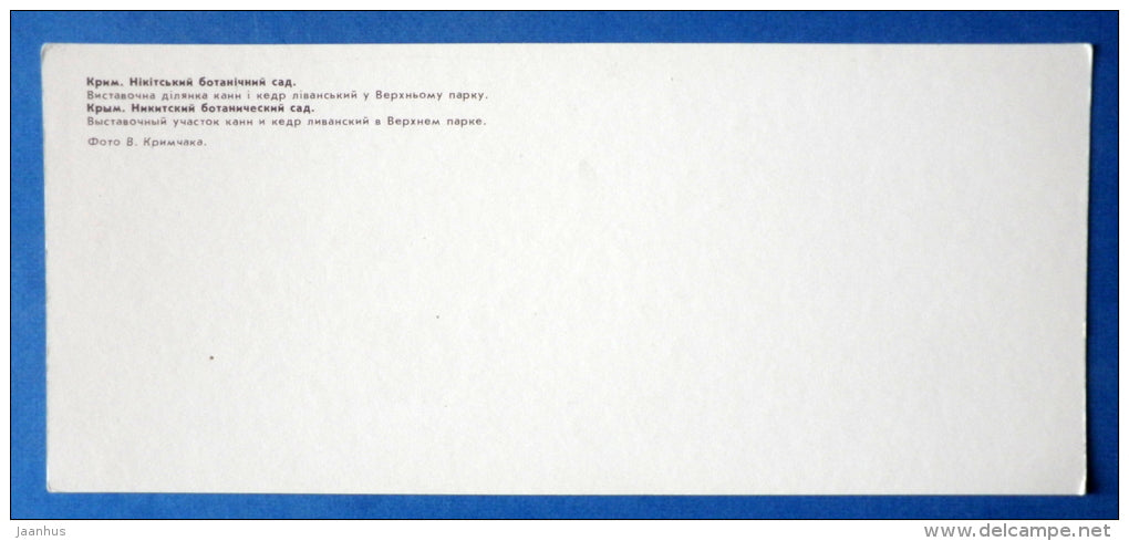 Lebanese cedar - Nikitsky Botanical Garden - 1981 - Ukraine USSR - unused - JH Postcards