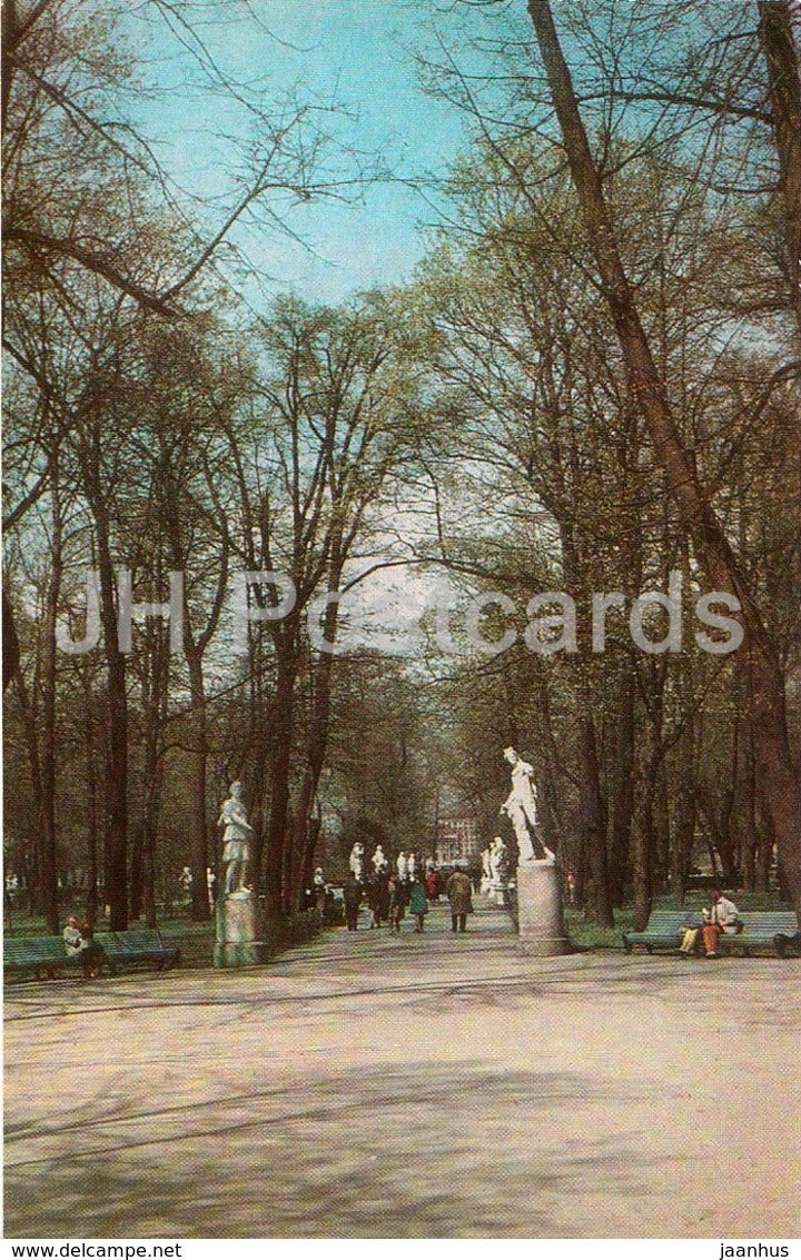 Leningrad - St. Petersburg - Summer Gardens - Main Avenue - 1971 - Russia USSR - unused - JH Postcards