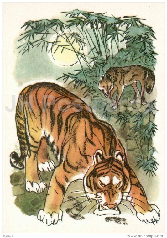 tiger - wolf - Mowgli by Rudyard Kipling - 1975 - Russia USSR - unused - JH Postcards