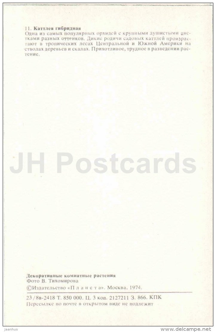 Hybrid Cattleya - flowers - 1974 - Russia USSR - unused - JH Postcards