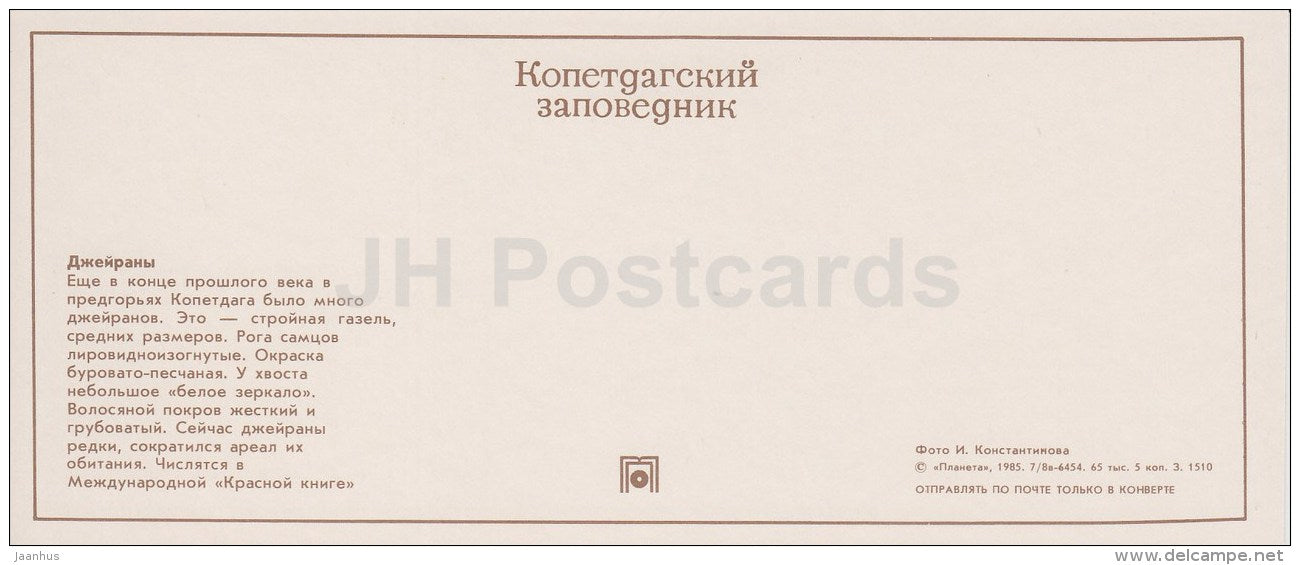 Gazelle - Kopet Dagh Nature Reserve - 1985 - Turkmenistan USSR - unused - JH Postcards