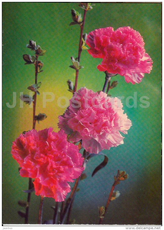 Red Carnations - flowers - 1982 - Russia USSR - used - JH Postcards