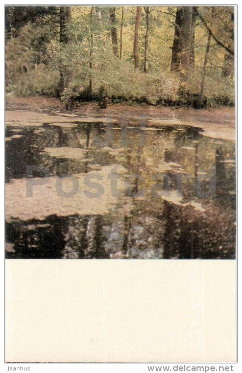 Mikhailovskoye - The Secluded Island - Pushkin Hills - 1969 - Russia USSR - unused - JH Postcards