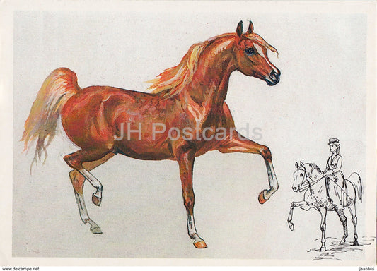 Arabian horse - illustration by A. Glukharev - horses - animals - 1988 - Russia USSR - unused - JH Postcards