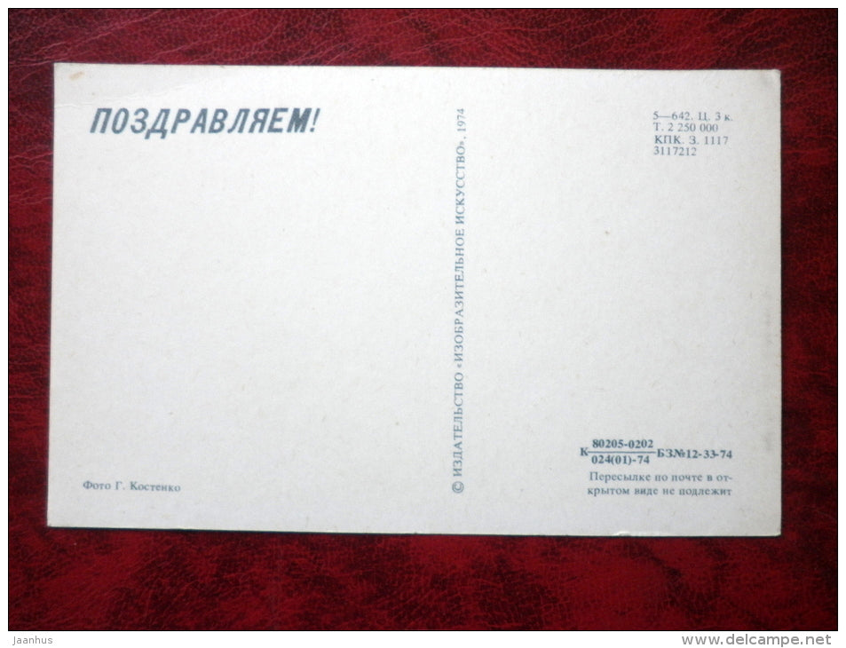 Birthday Greeting Card - flowers - 1974 - Russia - USSR - unused - JH Postcards
