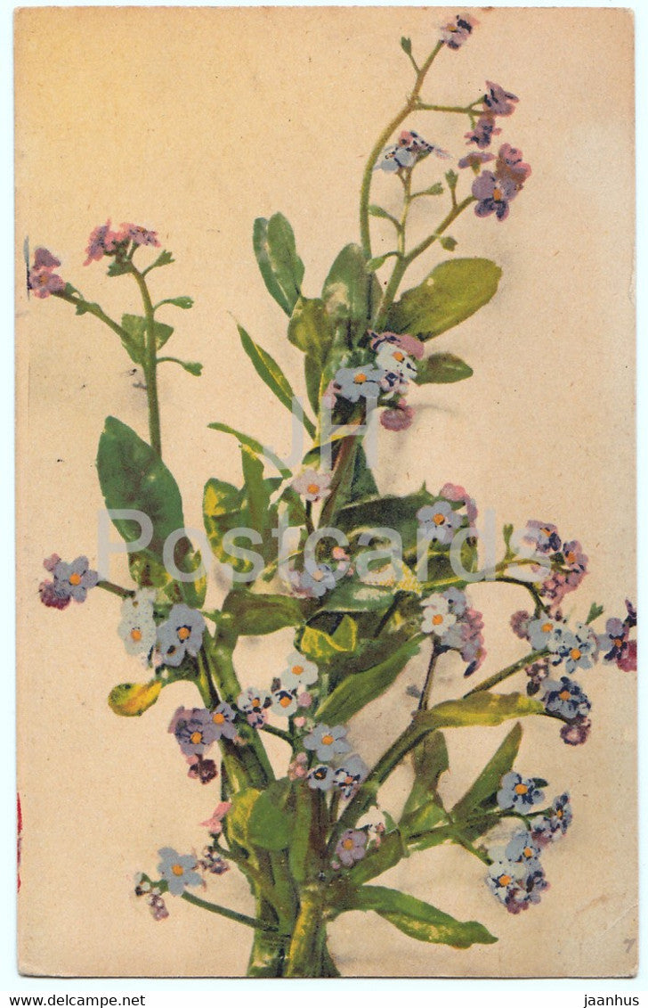 blue flowers - old postcard - France - unused - JH Postcards