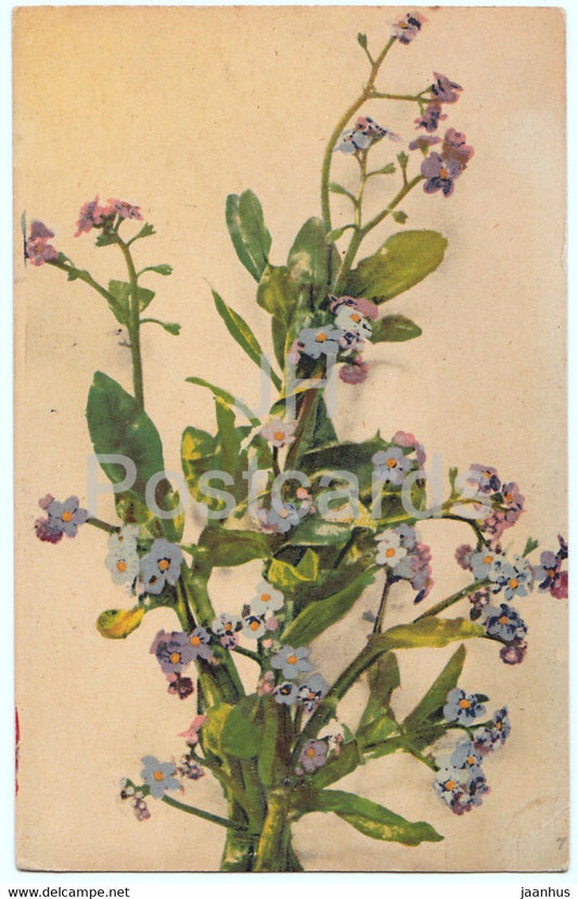 blue flowers - old postcard - France - unused - JH Postcards