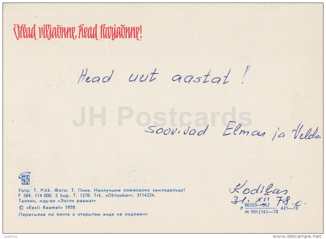 New Year Greeting card - 1 - corn - apples - 1978 - Estonia USSR - used - JH Postcards