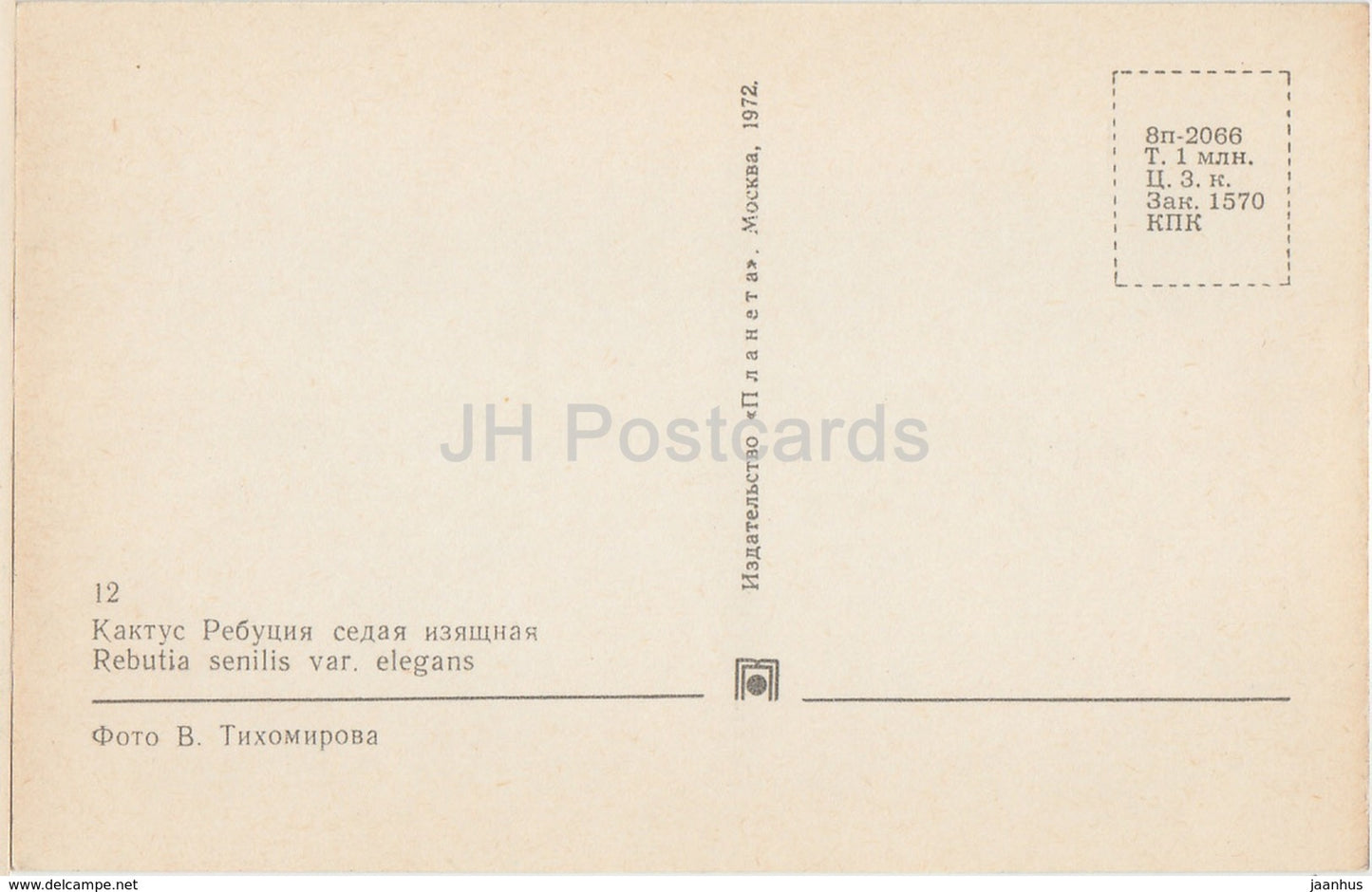 Rebutia senilis var. elegans - Cactus - Flowers - 1972 - Russia USSR - unused - JH Postcards