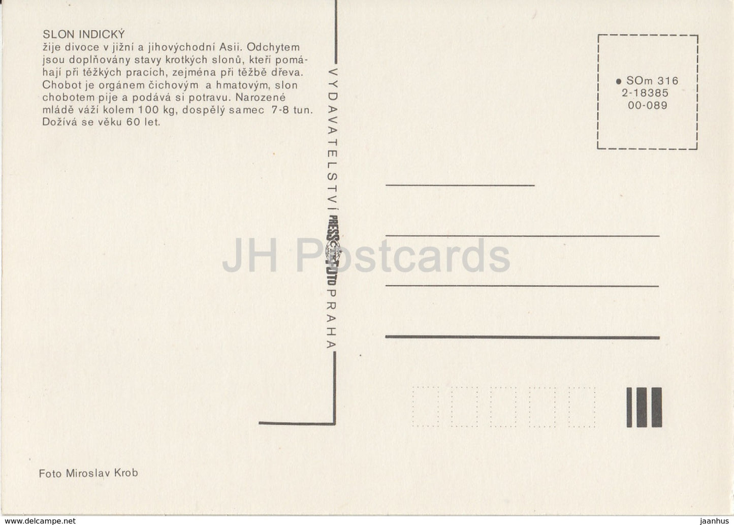 Indian Elephant - Zoo - Czechoslovakia - Czech Republic - unused