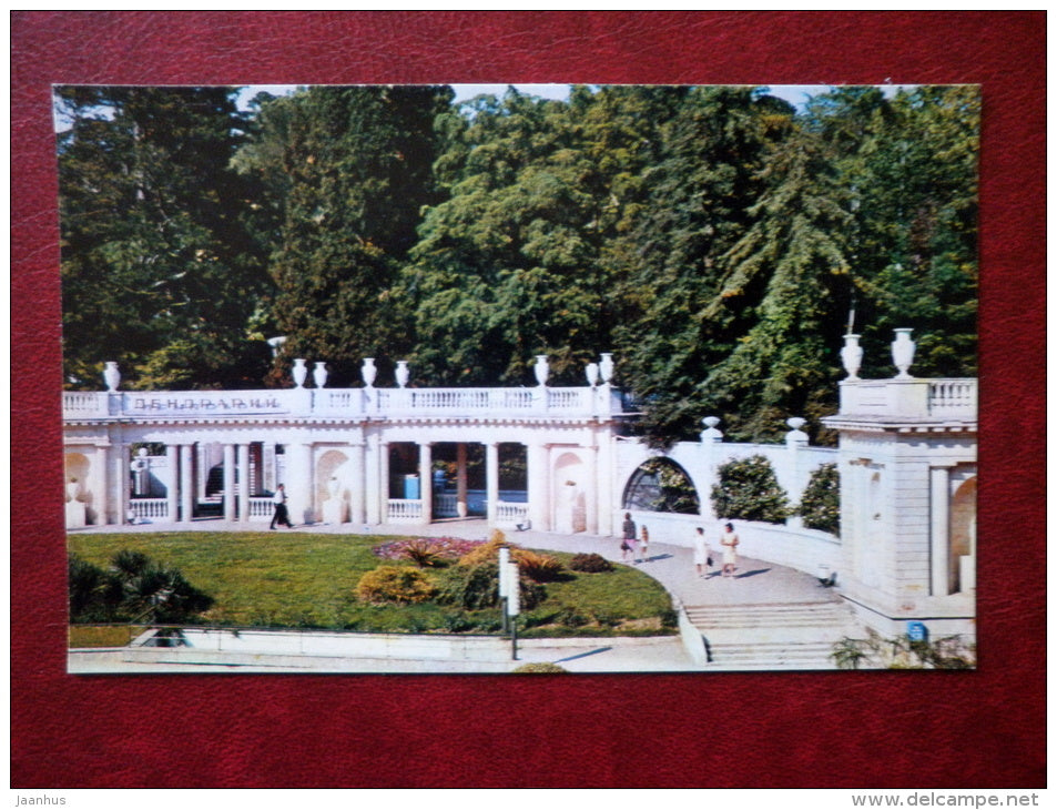Dendrarium park - Sochi - Black Sea Coast - 1974 - Russia USSR - unused - JH Postcards