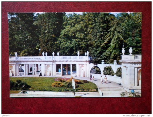 Dendrarium park - Sochi - Black Sea Coast - 1974 - Russia USSR - unused - JH Postcards