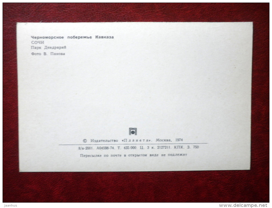 Dendrarium park - Sochi - Black Sea Coast - 1974 - Russia USSR - unused - JH Postcards