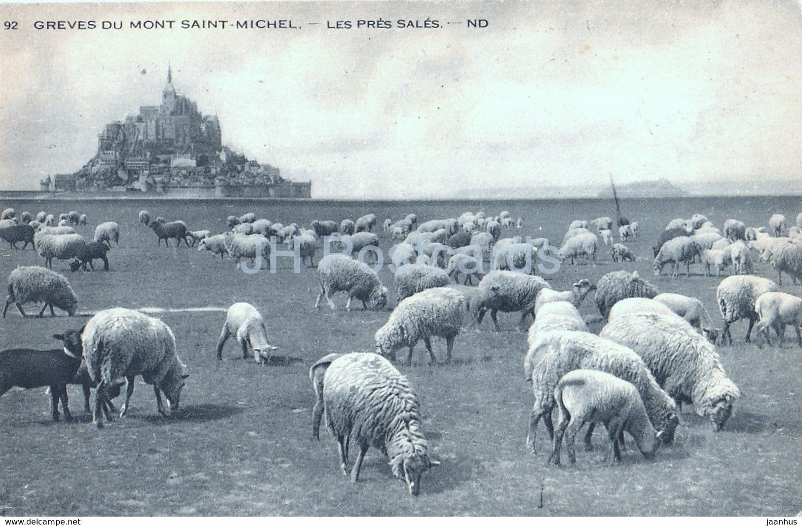 Greves du Mont Saint Michel - Les Pres Sales - ND - sheep - old postcard - France - unused - JH Postcards