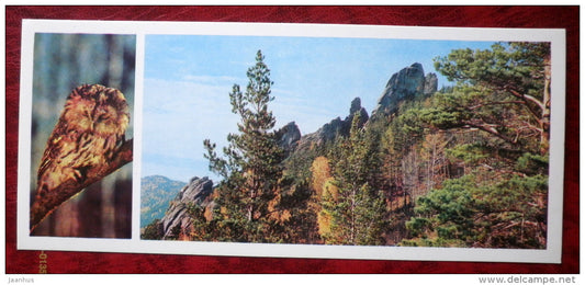 owl - birds - Stolby National Nature Reserve - Siberia - 1978 - Russia USSR - unused - JH Postcards