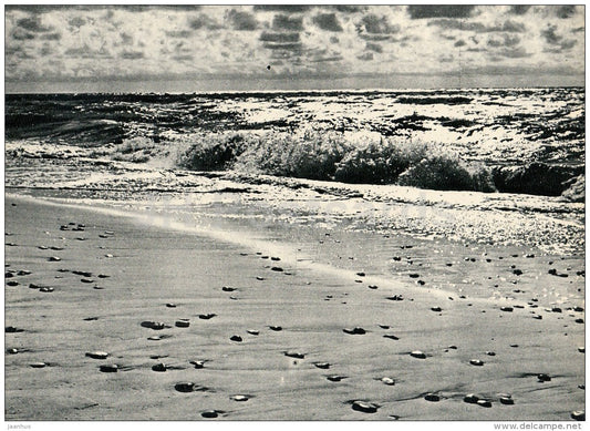 Baltic Sea - Palanga - Lithuania USSR - unused - JH Postcards
