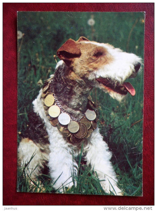 Wire Haired Fox Terrier - dogs - 1987 - Russia USSR - unused - JH Postcards