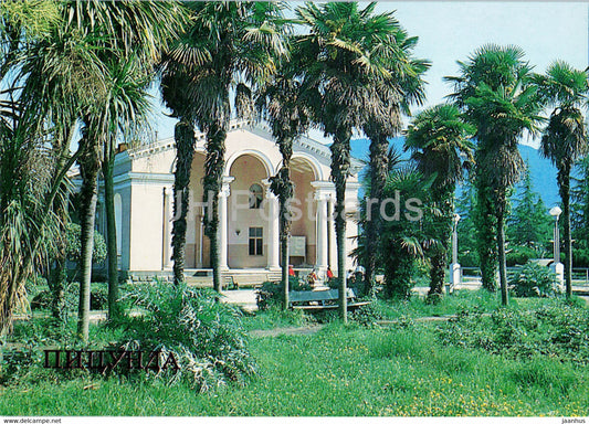 Pitsunda - House of Culture of the Citrus State Farm Sovetskaya Abkhazia - Abkhazia - 1987 - Georgia USSR - unused - JH Postcards