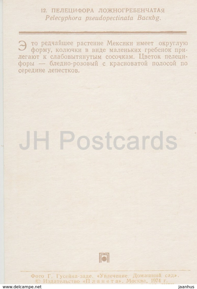 Pelecyphora pseudopectinata - cactus - fleurs - 1974 - Russie URSS - inutilisé