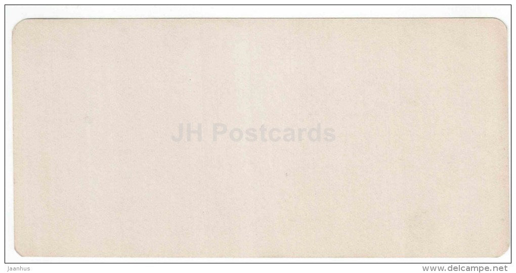 Route militaire Grousine - Caucasus - Georgia - stereo photo - stereoscopique - old photo - JH Postcards