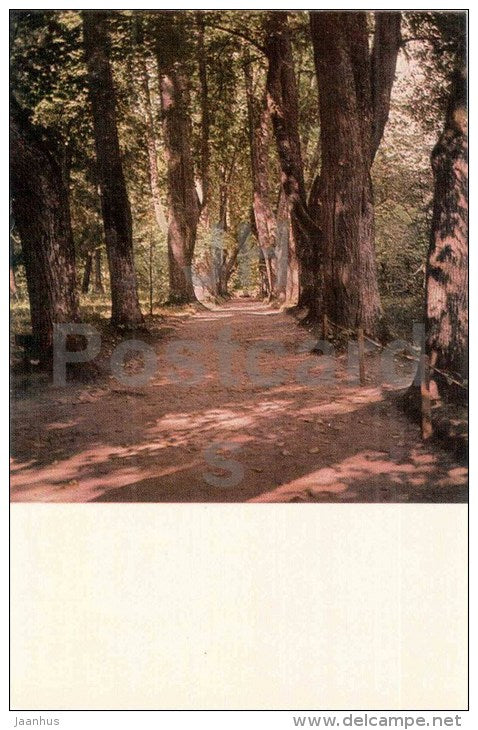 Mikhailovskoye - The Linden alley - Kern Alley - Pushkin Hills - 1969 - Russia USSR - unused - JH Postcards