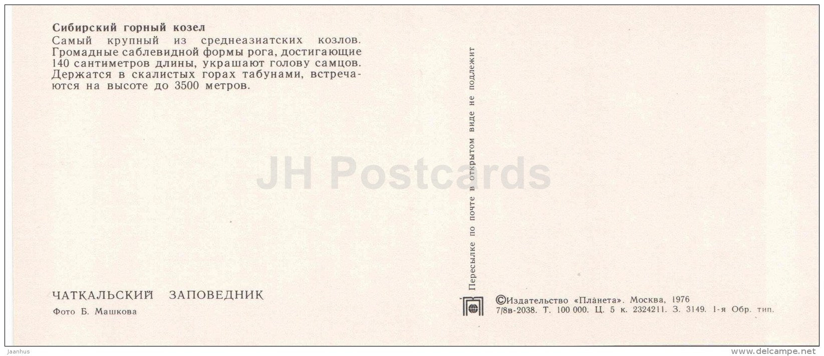 Siberian ibex - Capra sibirica - Chatkalsky National Park - 1976 - Uzbekistan USSR - unused - JH Postcards