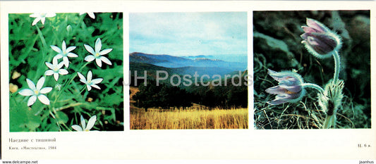 mountain flowers - protected places of Crimea - 1984 - Ukraine USSR - unused - JH Postcards