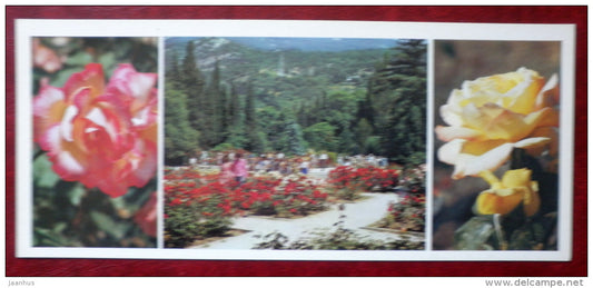 rosarium - rose Gloria Dei - rose Yalta souvenir - roses - Nikitsky Botanical Garden - 1982 - Ukraine USSR - unused - JH Postcards