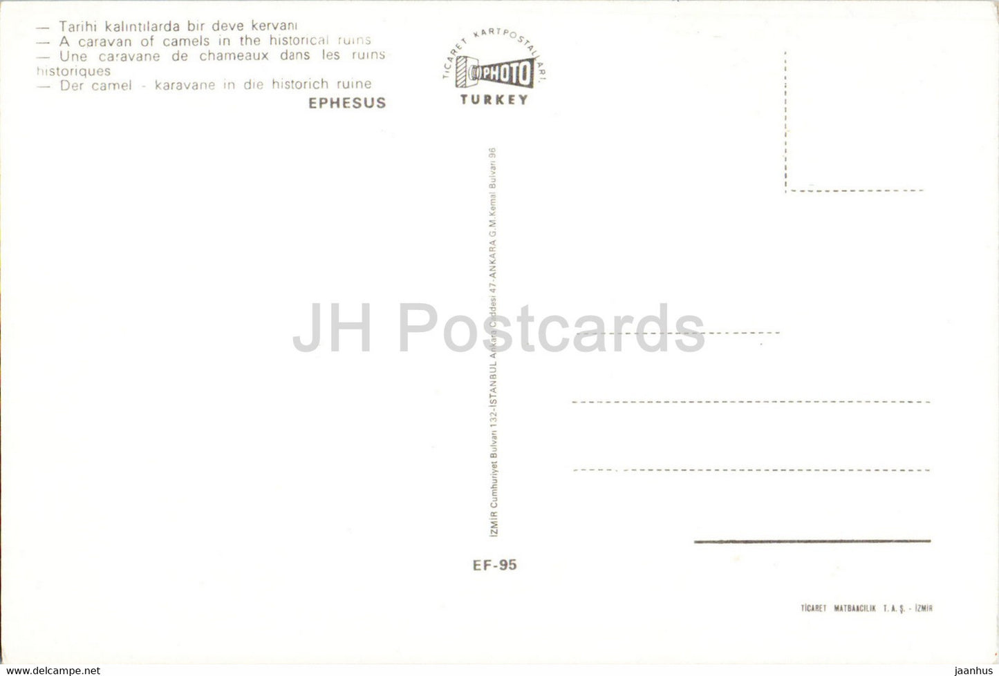 Eine Kamelkarawane in den historischen Ruinen - Kamel - Tiere - Foto - Türkei - unbenutzt