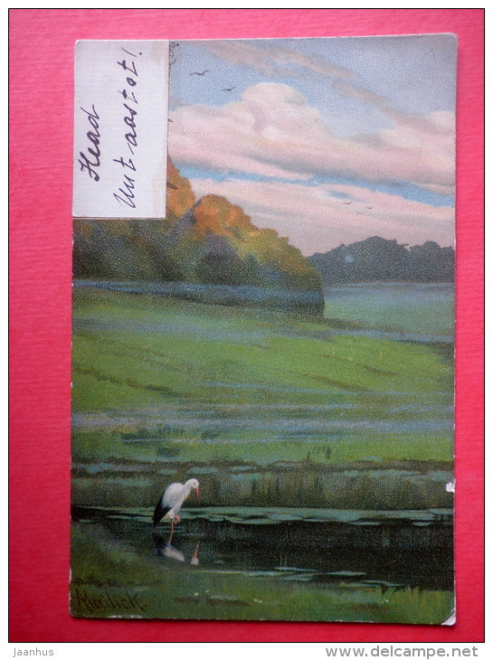 illustration by Alfred Mailick - white stork - Eine Million - circulated in Estonia mail wago Imperial Russia 1904 - JH Postcards
