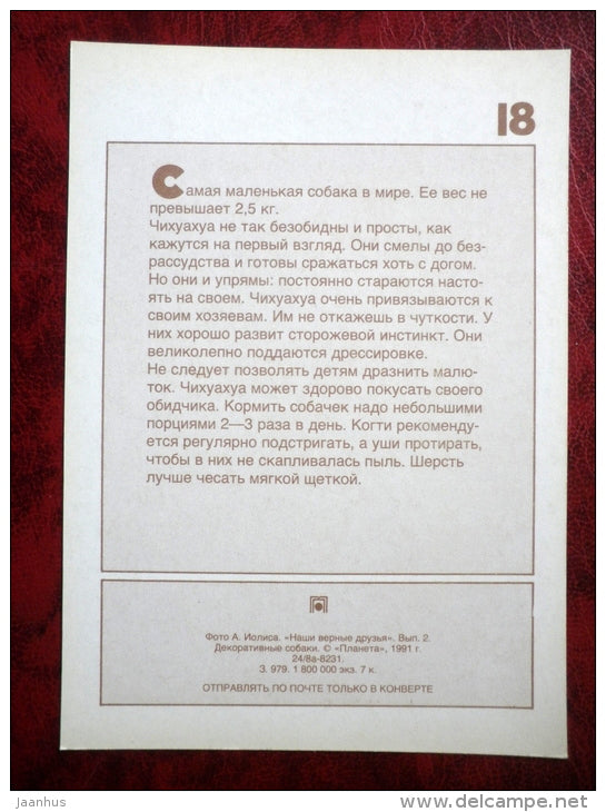 Chihuahua - dogs - 1991 - Russia - USSR - unused - JH Postcards