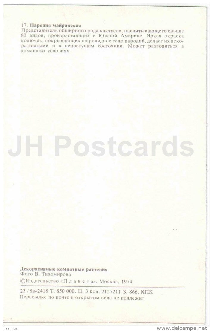 Parodia mairanana - cactus - flowers - 1974 - Russia USSR - unused - JH Postcards