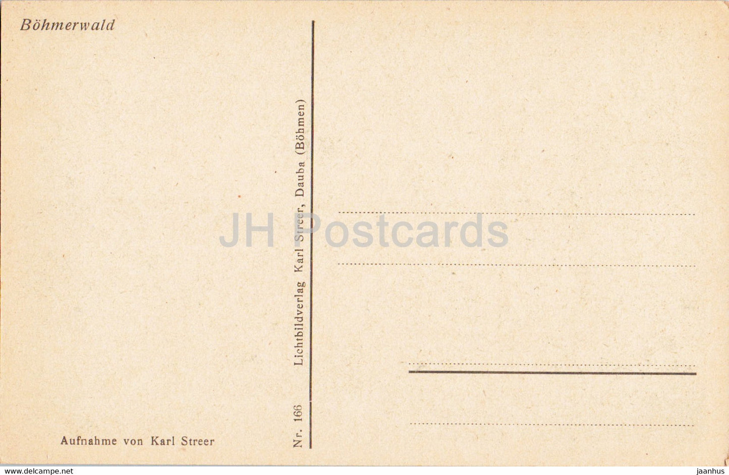 Urwald am Kubany - Bohmerwald - old postcard - Czech Republic - unused