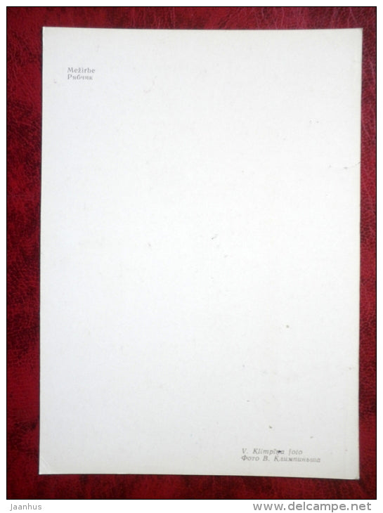 Hazel Grouse - Bonasa bonasia - birds - 1981 - Latvia USSR - unused - JH Postcards