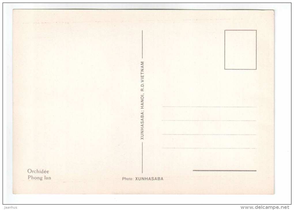white orchid 2 - flowers - Vietnam - unused - JH Postcards