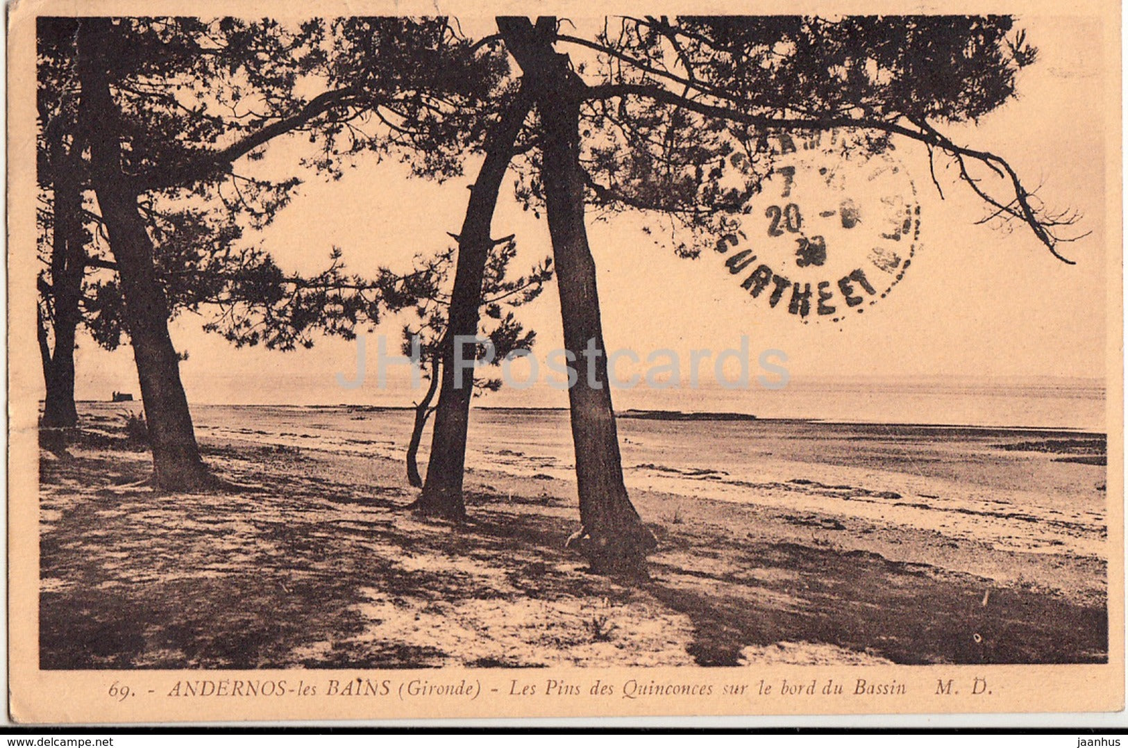Andernos les Bains - Les Pins des Quinconces sur le bord du Bassin - 69 - 1939 - old postcard - France - used - JH Postcards