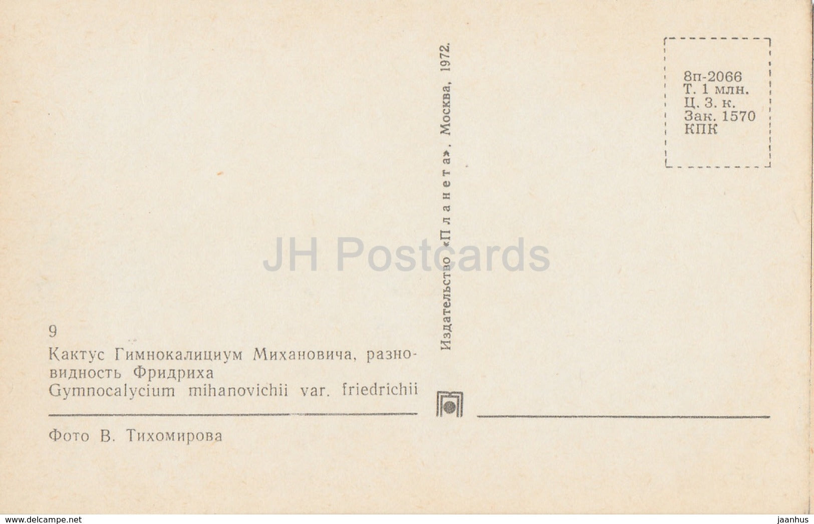 Moon Cactus - Gymnocalycium mihanovichii - Cactus - Flowers - 1972 - Russia USSR - unused - JH Postcards