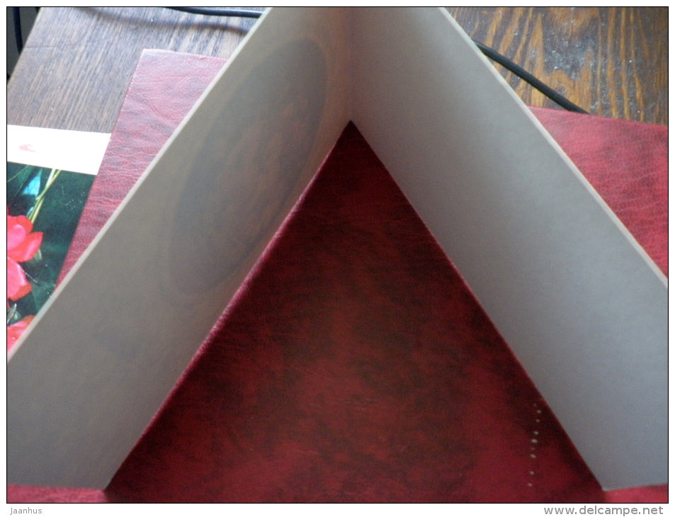 Birthday Greeting Card - flowers - 1981 - Russia - USSR - unused - JH Postcards