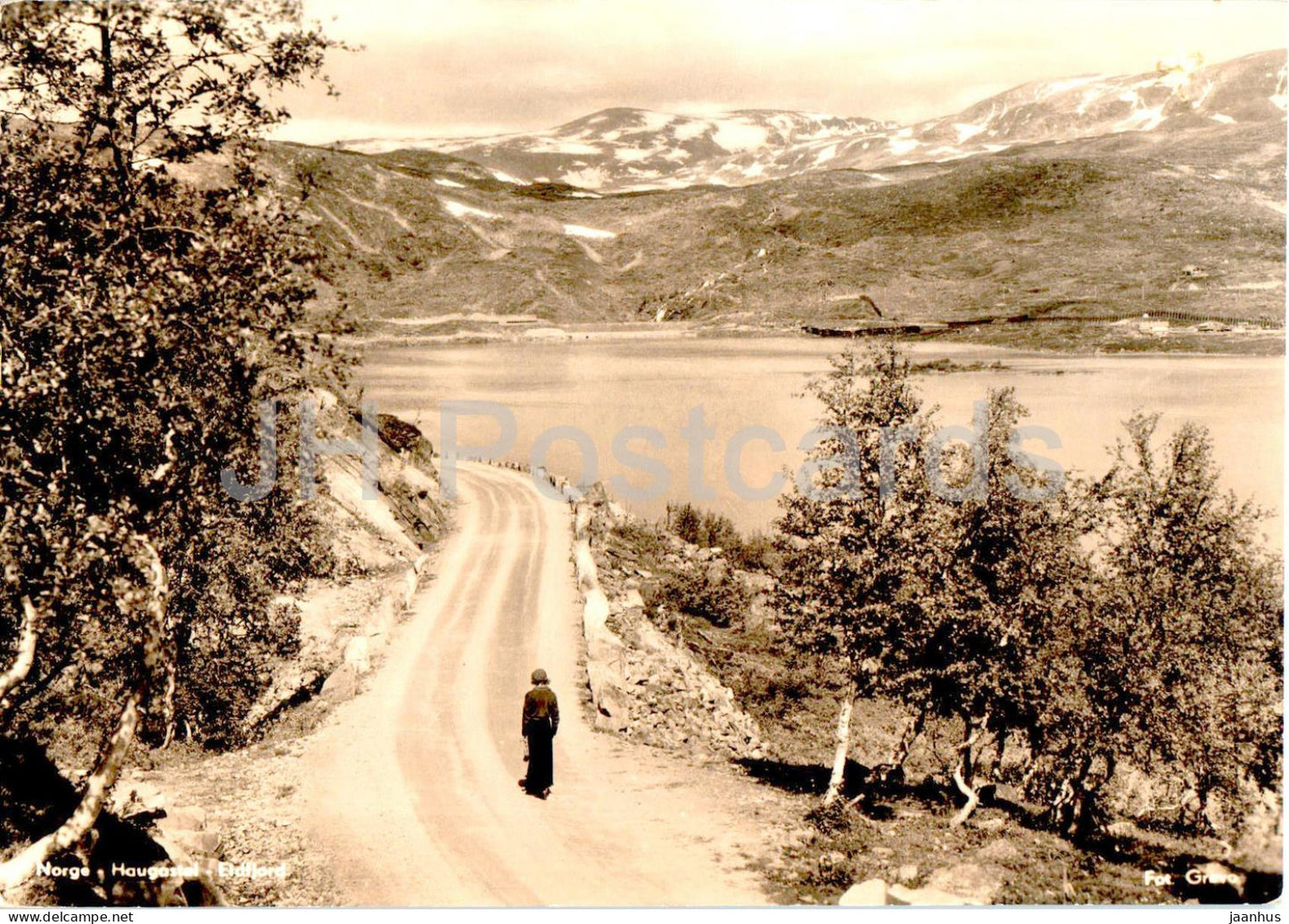 Haugastel - Eldfjord - old postcard - 1956 - Norway - used