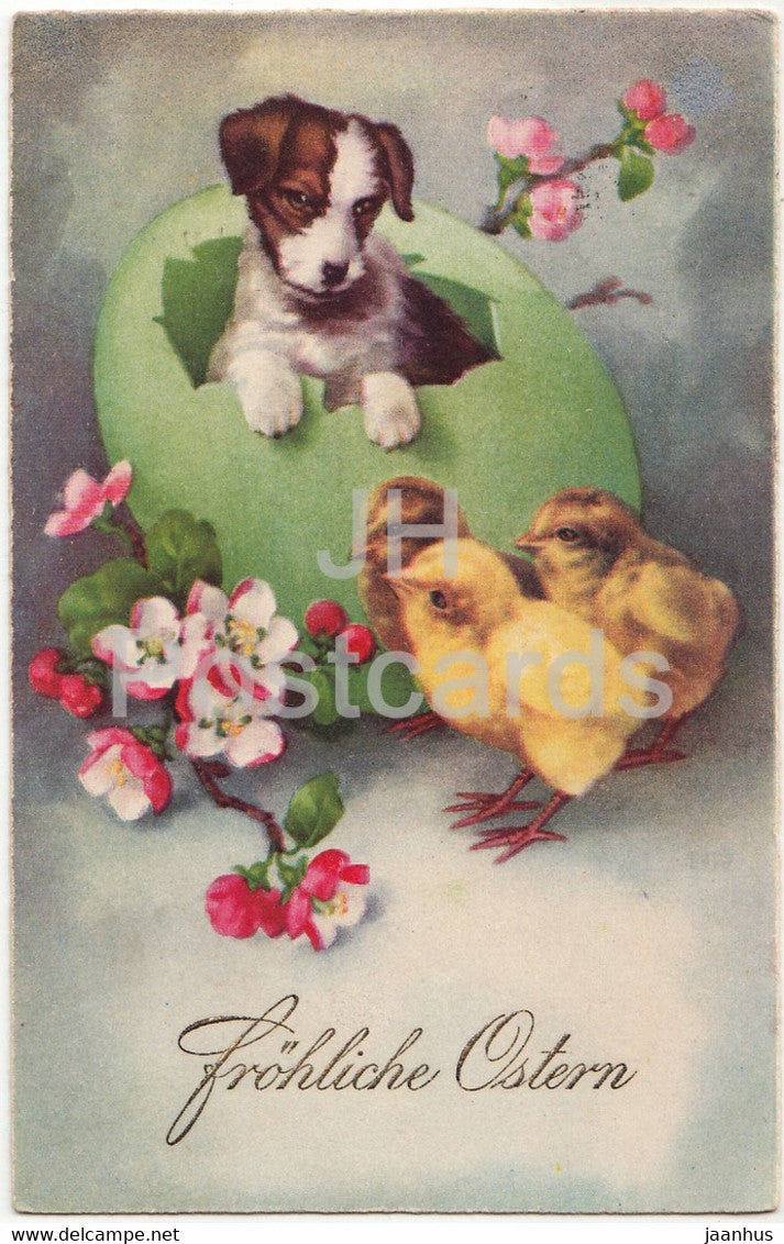 Easter Greeting Card - Frohliche Ostern - egg - dog - chicken - EAS 1703 - old postcard - Germany - used - JH Postcards