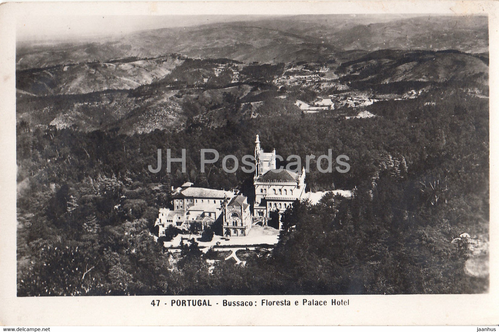 Bussaco - Floresta e Palace Hotel - 47 - old postcard - Portugal - unused - JH Postcards