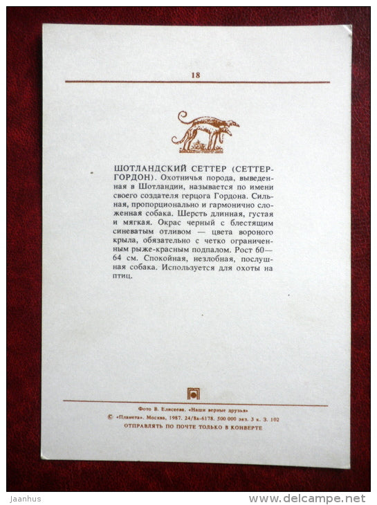 Gordon Setter - dogs - 1987 - Russia USSR - unused - JH Postcards
